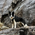 IMG_2032.jpeg
