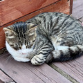 IMG_2432.jpeg