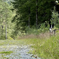 IMG_2953.jpeg