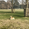IMG_3217.jpeg