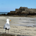 IMG_3310.jpeg