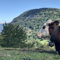 IMG_6266.jpeg