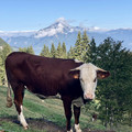 IMG_6268.jpeg