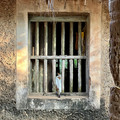 IMG_6965.jpeg
