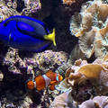 IMG_9127.jpeg