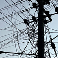 IMG_7149.jpeg