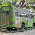 IMG_7302.jpeg