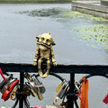 IMG_2325.jpeg