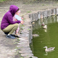 IMG_2412.jpeg