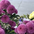 IMG_8930.jpeg
