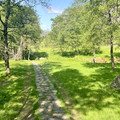 IMG_0177.jpeg