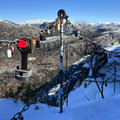 IMG_8525.jpeg