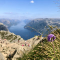 IMG_0262.jpeg