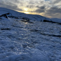 IMG_1035.jpeg