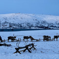 IMG_1087.jpeg