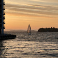 IMG_0474.jpeg