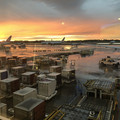 IMG_4629.jpeg