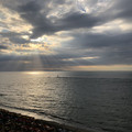 IMG_4735.jpeg