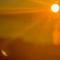 IMG_5294.jpeg