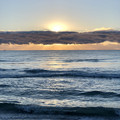 IMG_6442.jpeg