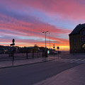 IMG_7286.jpeg